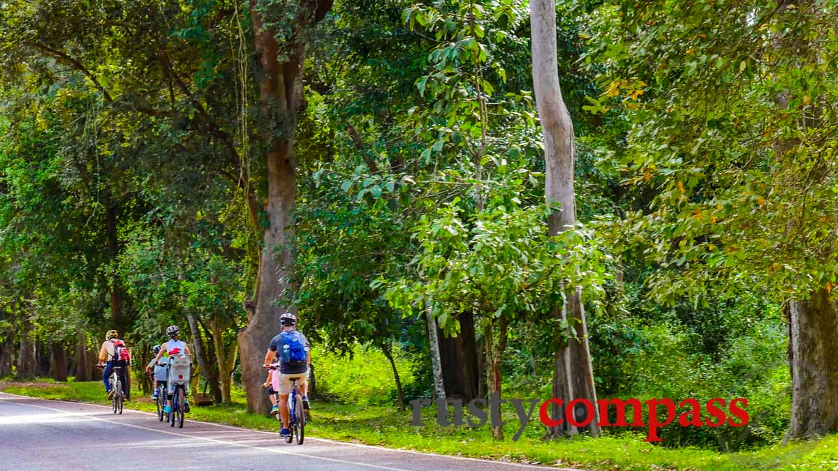 Family cycling Angkor